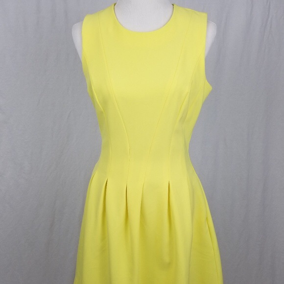 H&M Sunny Sleeveless Pleated Fit Skater Dress - Picture 5 of 15